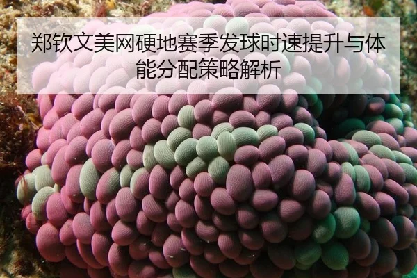 zheng-qin-wen-mei-wang-ying-di-sai-ji-fa-qiu-shi-su-ti-sheng-yu-ti-neng-fen-pei-ce-lve-jie-xi-3-293.jpg