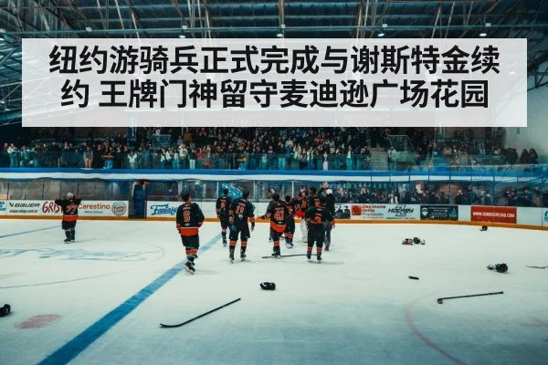 ice hockey arena crowd