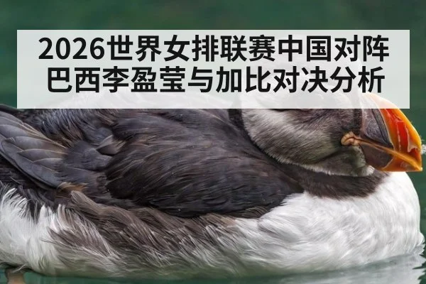 2026世界女排联赛中国对阵巴西李盈莹与加比对决分析